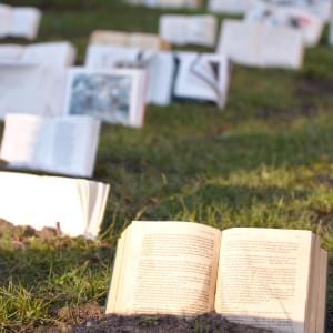 Maulwurf-Praesenzbibliothek