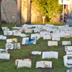 Maulwurf-Praesenzbibliothek