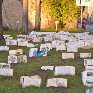 Maulwurf-Praesenzbibliothek