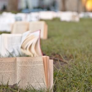 Maulwurf-Praesenzbibliothek