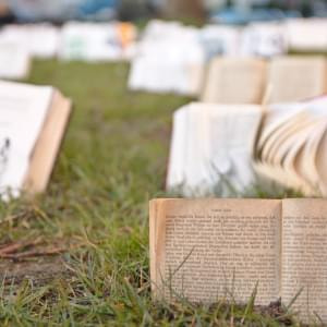 Maulwurf-Praesenzbibliothek