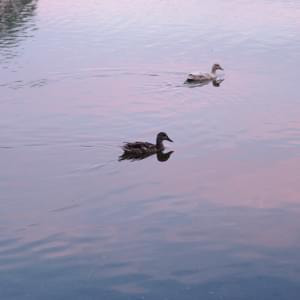 Rubbenbruchsee%20'14