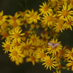 Rubbenbruchsee%20'14